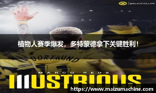 365WM完美体育官方app