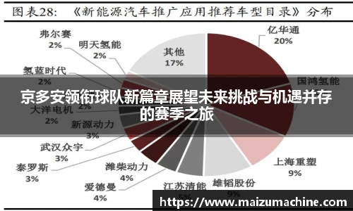 京多安领衔球队新篇章展望未来挑战与机遇并存的赛季之旅