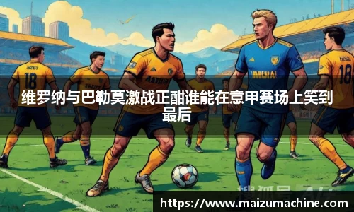 365WM完美体育官方app