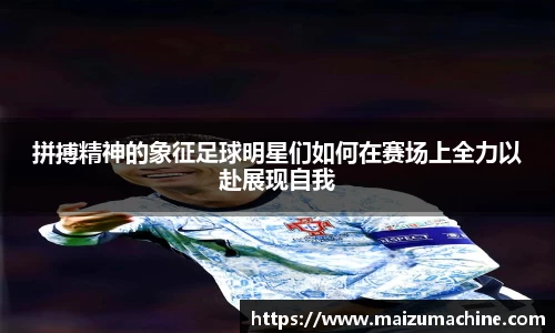 365WM完美体育官方app